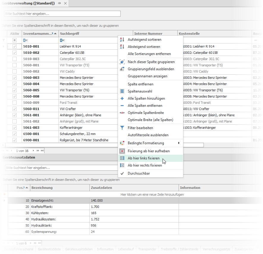 Spalten fixieren Spalten fixieren