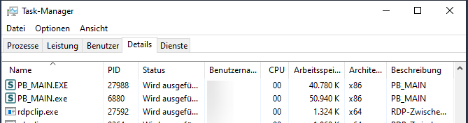 Abbildung 12: ProBau-Prozesse im Task-Manager Abbildung 12: ProBau-Prozesse im Task-Manager
