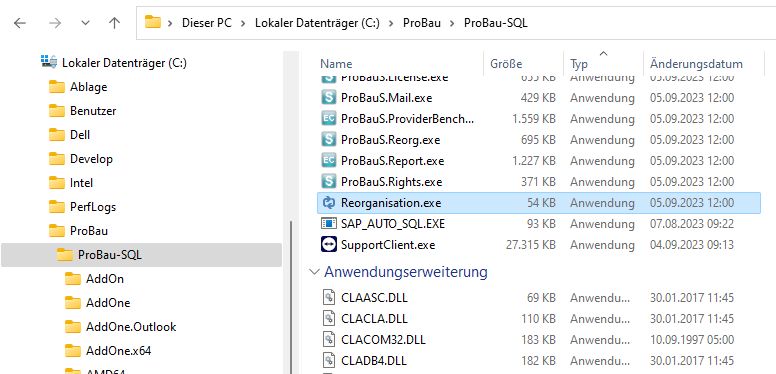 Abbildung 16: Reorganisation.exe in selben Verzeichnis wie die PB_MAIN.exe Abbildung 16: Reorganisation.exe in selben Verzeichnis wie die PB_MAIN.exe
