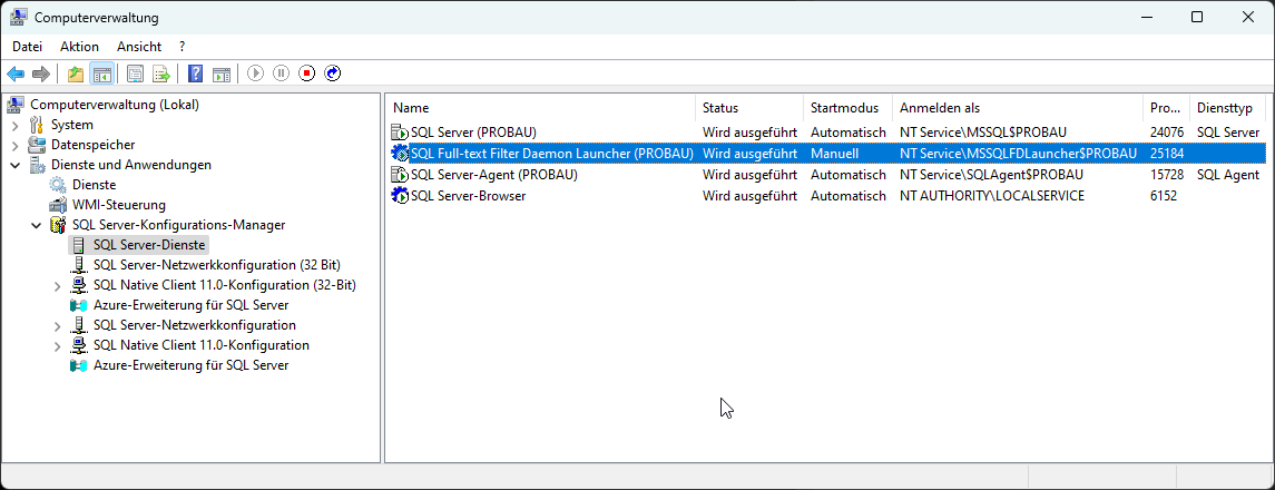 Abbildung 32: Dienst der Volltextsuche Abbildung 32: Dienst der Volltextsuche