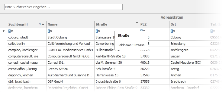 Feldname im Tooltip Feldname im Tooltip